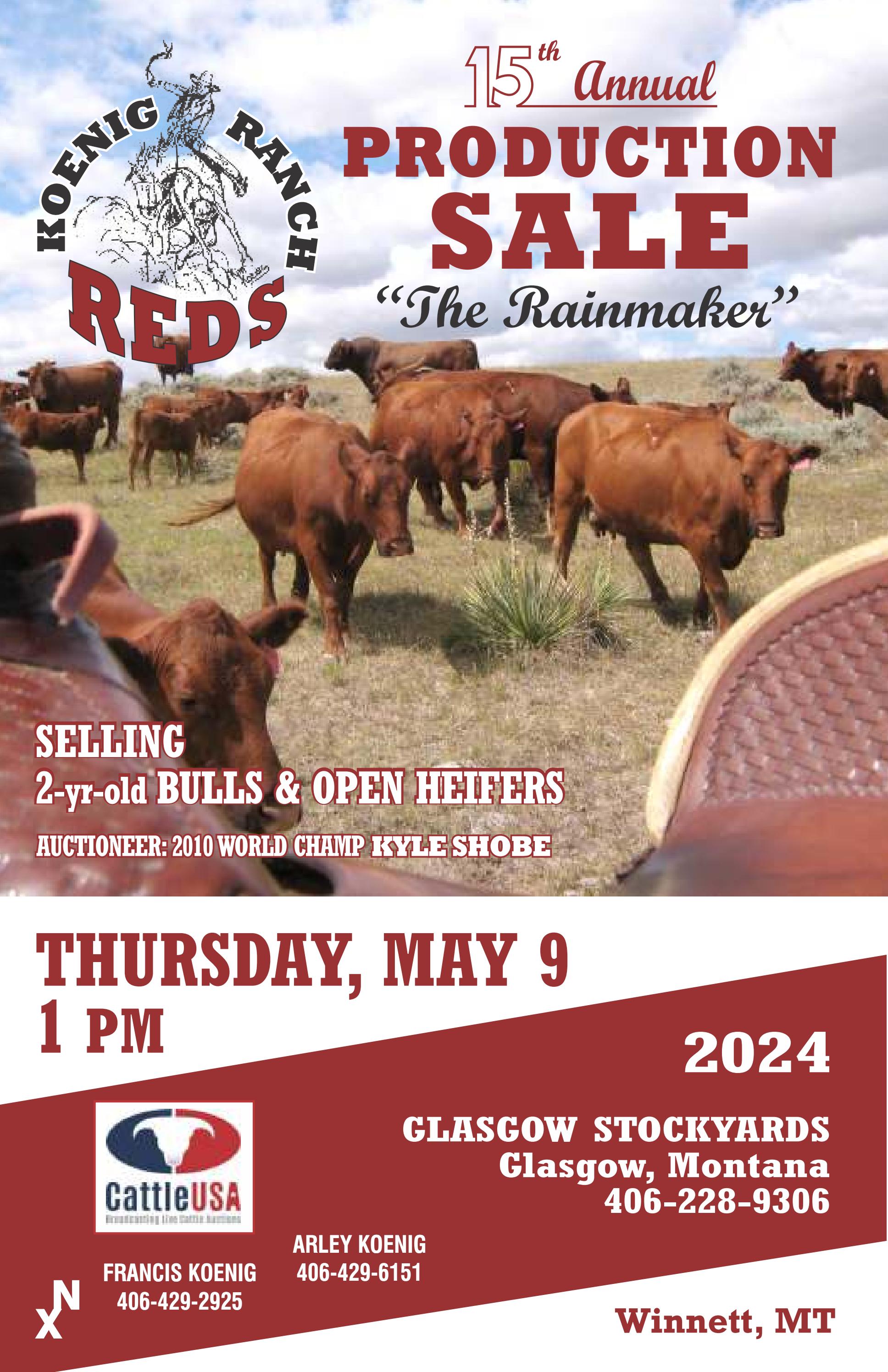 Koenig Ranch Reds Sale Catalog 2024 by PeltonLivestock Issuu