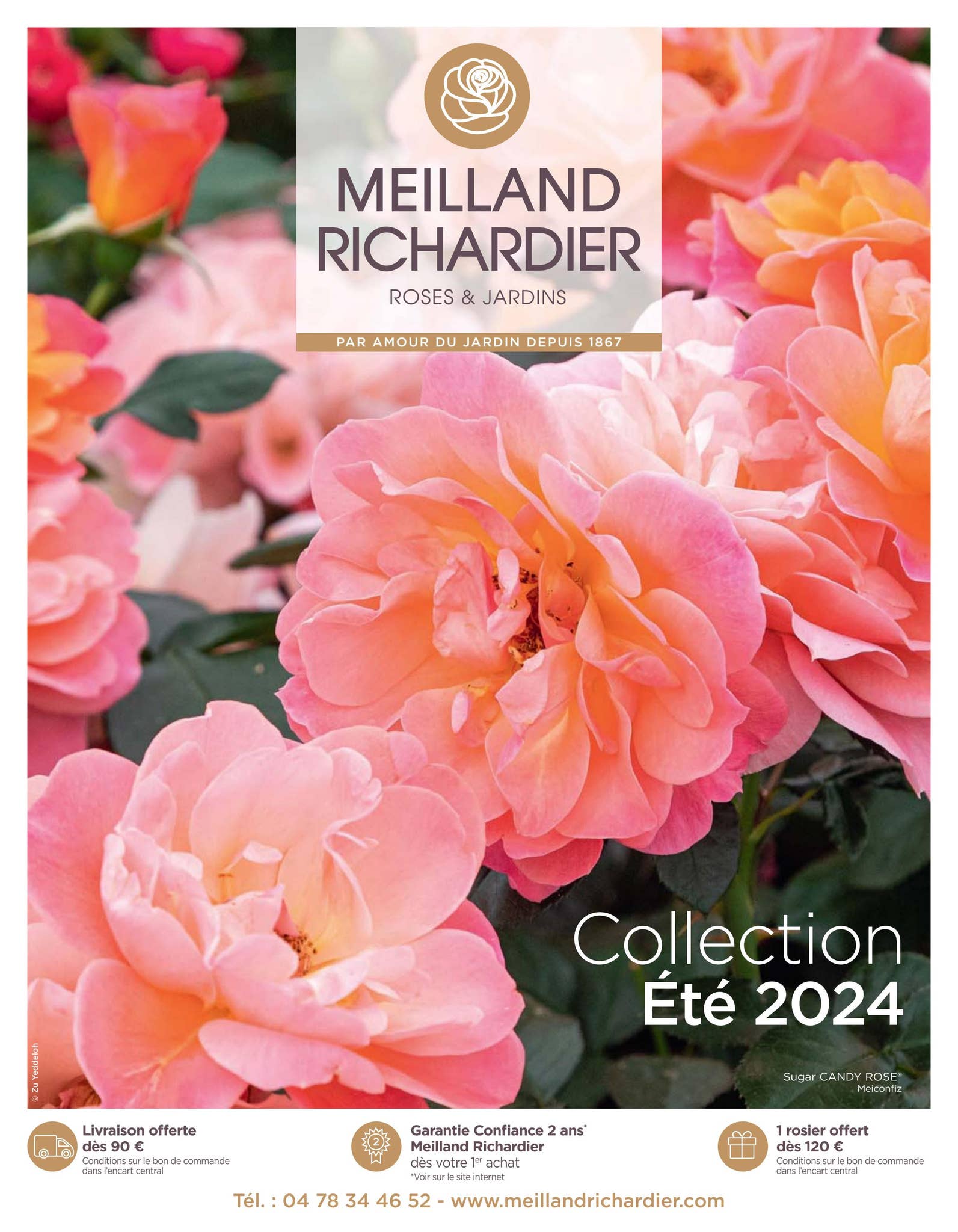 Sitemapcdatahttpsrfswindecoocomcode Promo Meilland Richardiernull