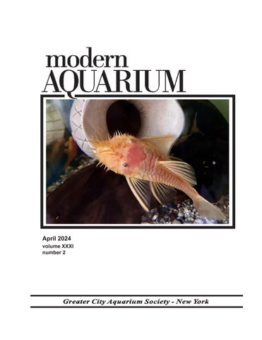 Aquarium World vol 1 2016 by FNZAS - Issuu