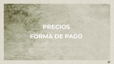 Magico, dos habitaciones ( Penthouse) 第 17 页