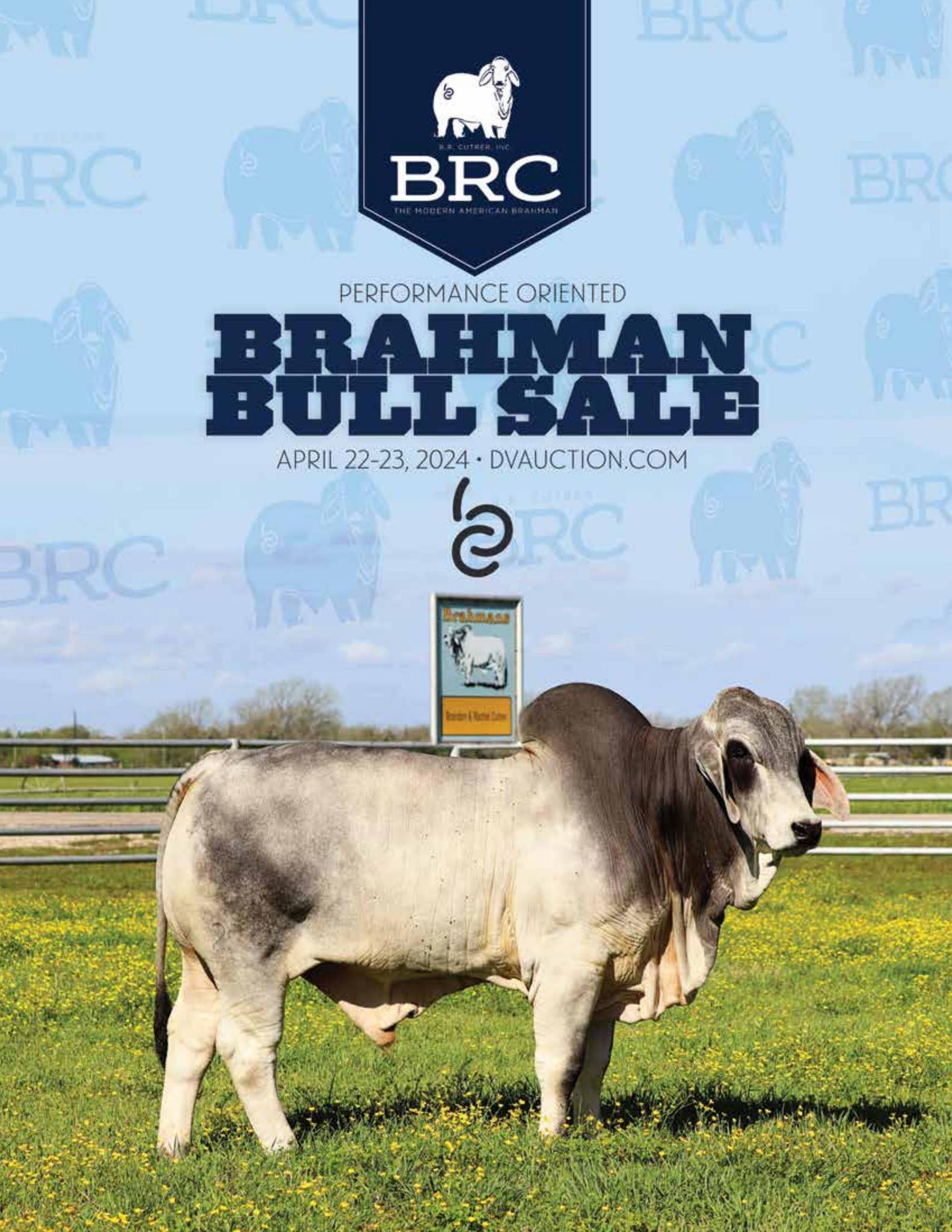 BRAHMAN BROKKER 20TH ANNIVERSARY 4体セット BRAHMAN BROKKER 20TH