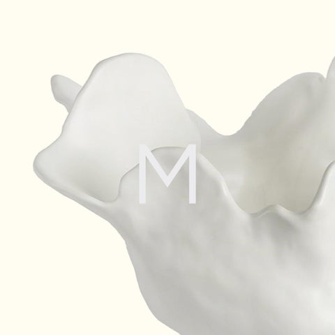 Meteor Bowls Pop-Up 射灯 2024 第 2 页
