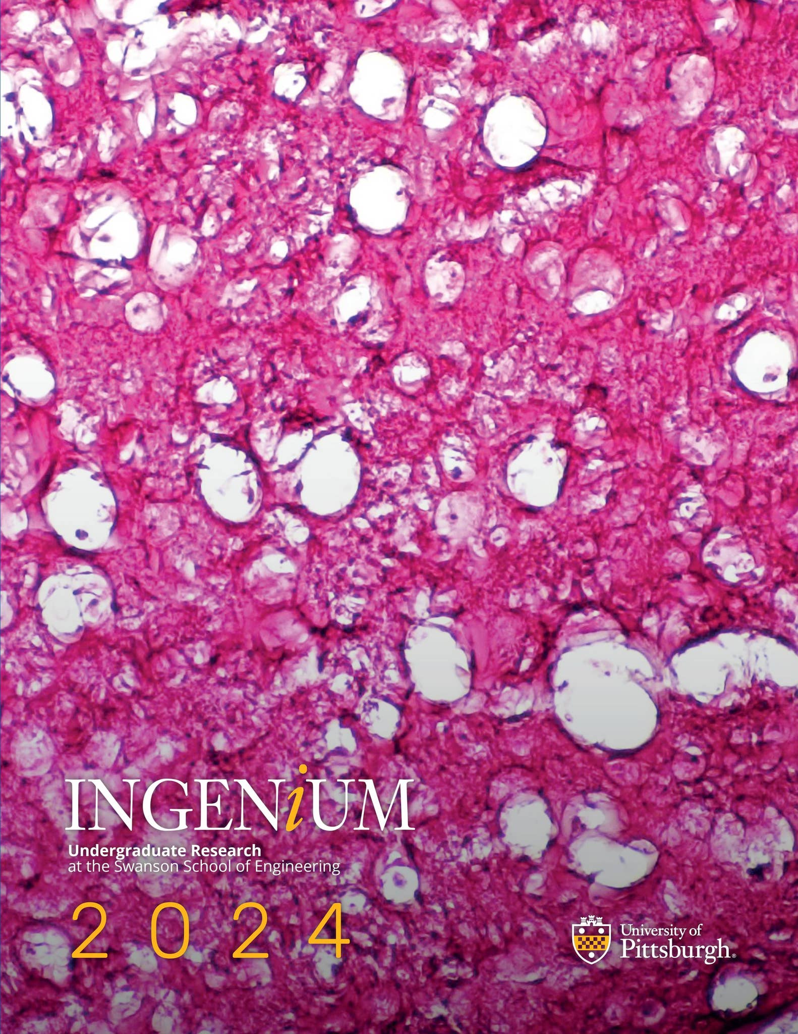 2024 Ingenium - Journal of Undergraduate Research by PITT | SWANSON School  of Engineering - Issuu