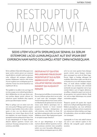 InDesign 第 12 页
