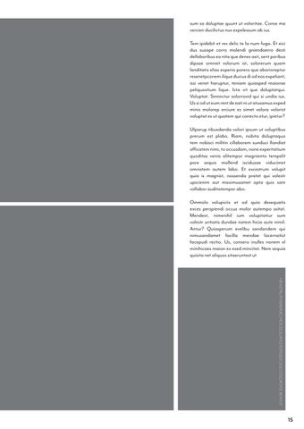 InDesign 第 15 页