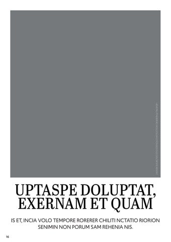 InDesign 第 16 页