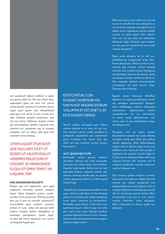 InDesign 第 19 页