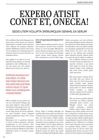InDesign 第 4 页
