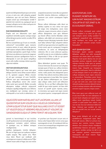 InDesign 第 5 页