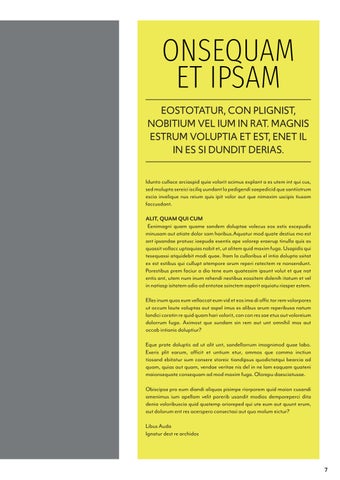 InDesign 第 7 页