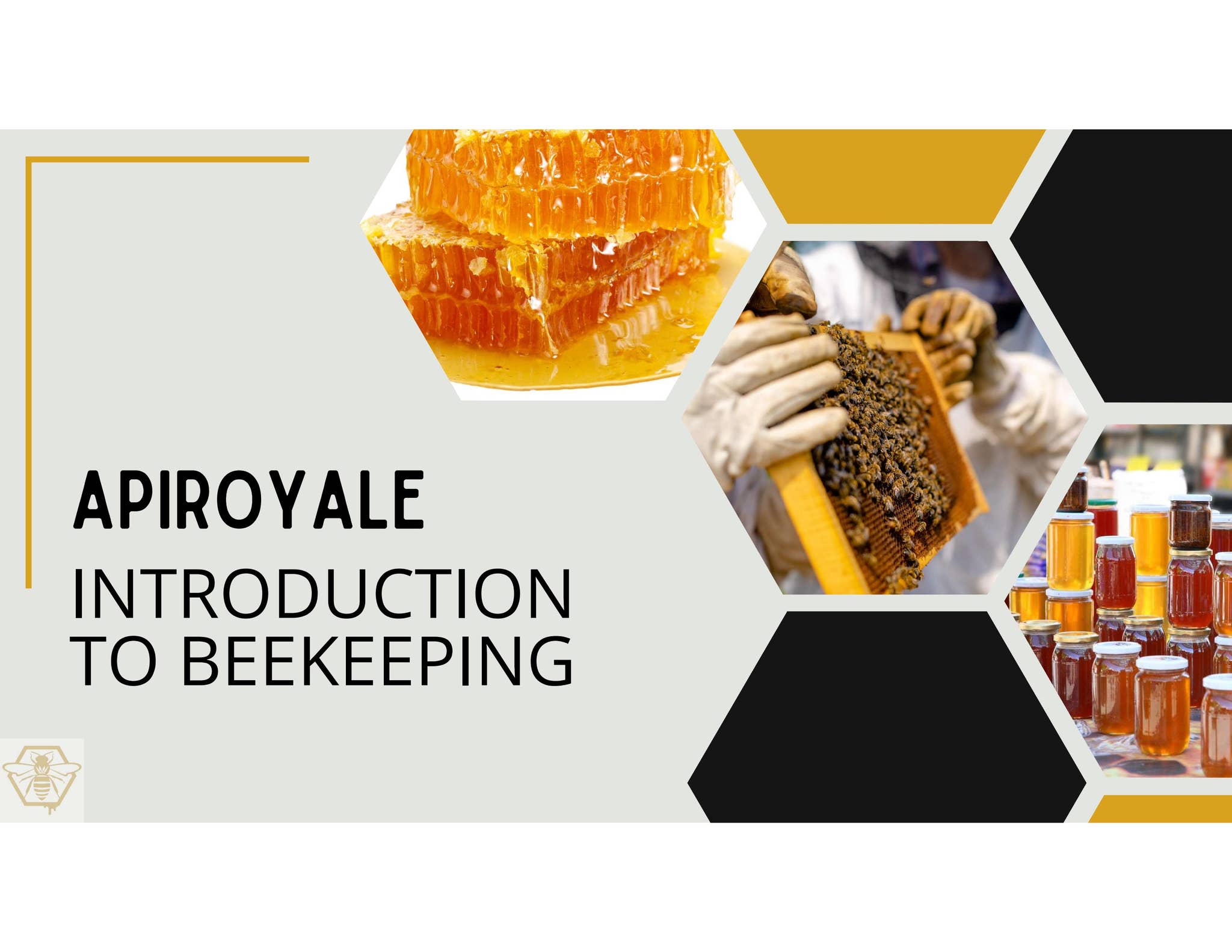 Introduction to beekeeping by beesthatfeed - Issuu