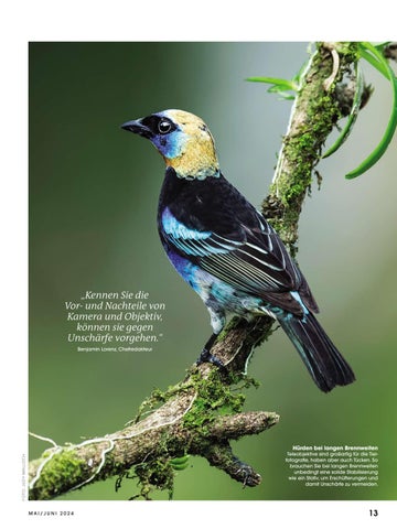 Lamprechter Magazin 3. Ausgabe 2024 第 13 页