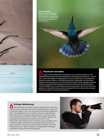 Lamprechter Magazin 3. Ausgabe 2024 第 15 页