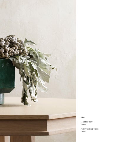 Denise McGaha for Wildwood 第 5 页