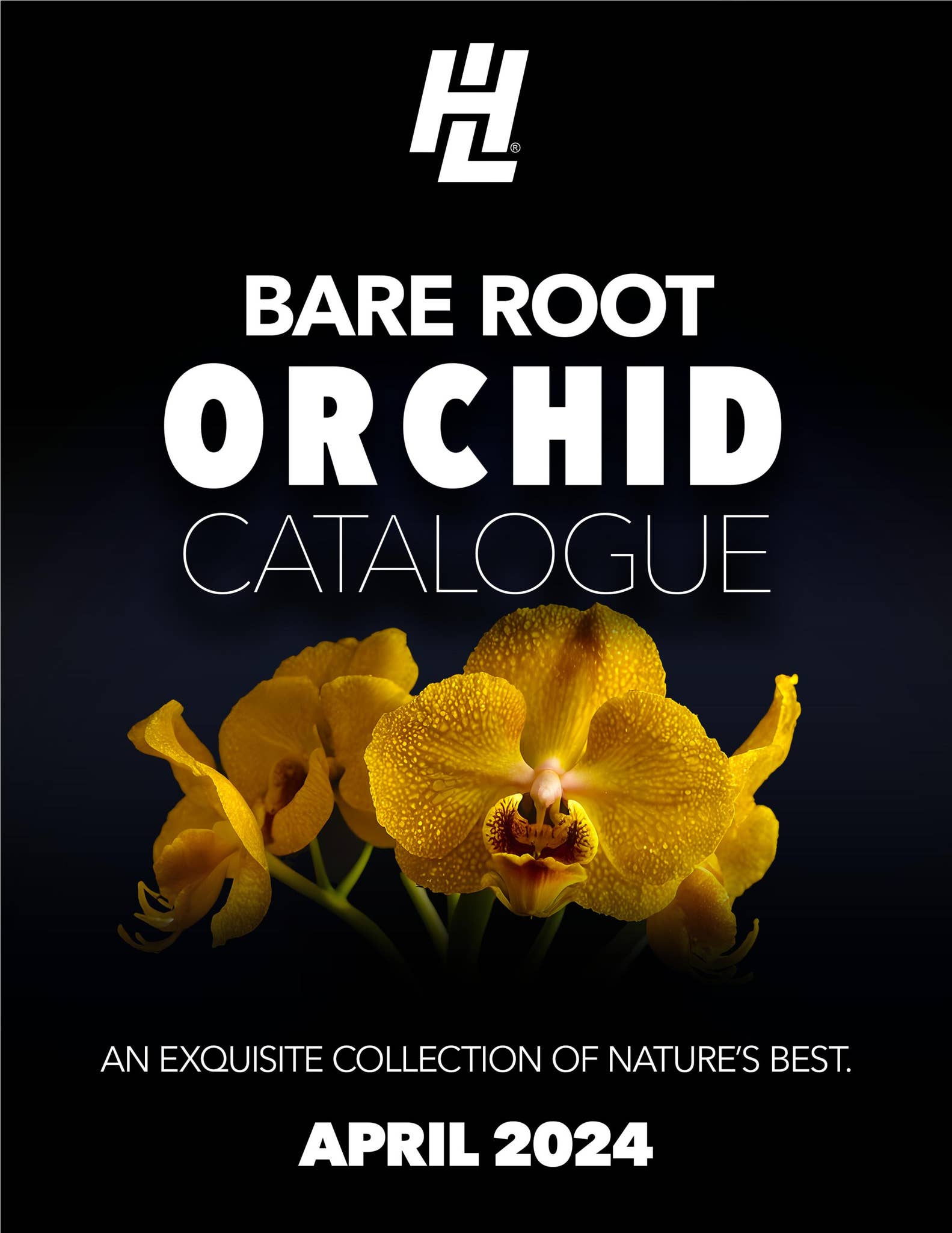 H&L Bare Root Orchid Catalogue April 2024 by hardwareandlumber Issuu