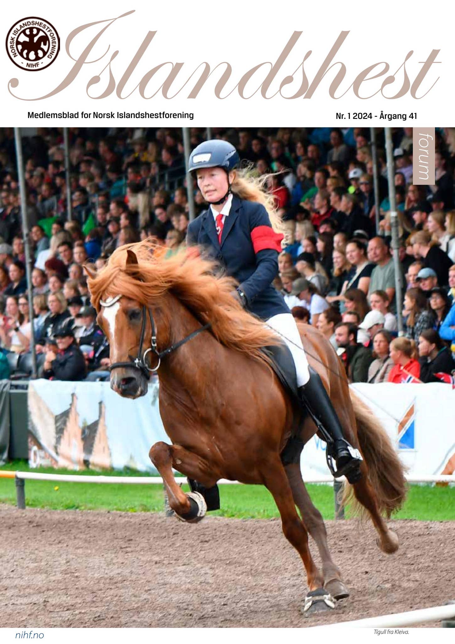 Islandshestforum 1-2024 by CC BERLI Kommunikasjon - Issuu, image size:1449x2048