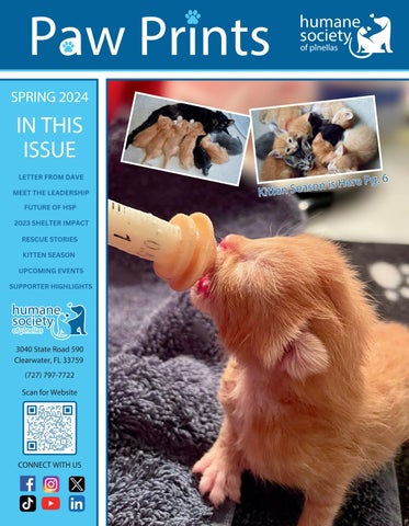 Newsletter Spring 2024