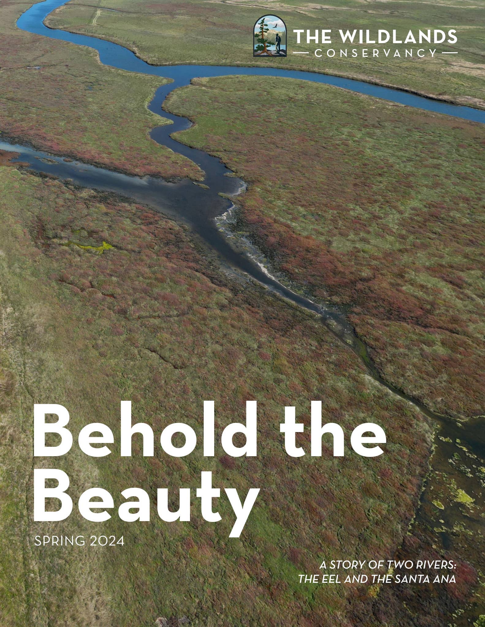 Behold The Beauty | Spring 2024 by Sara Seburn - Issuu