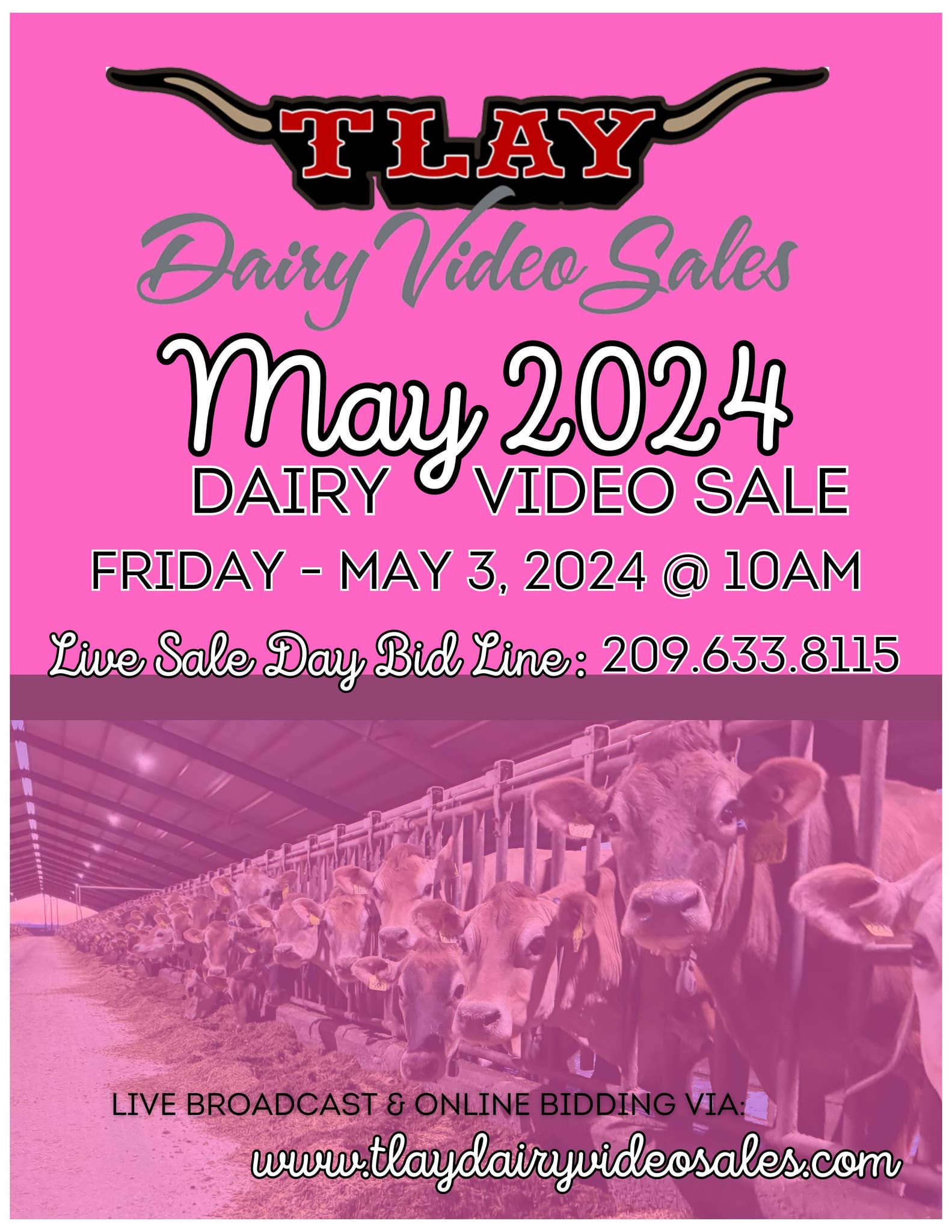 MAY 2024 DVS CATALOG by TURLOCK LIVESTOCK AUCTION YARD Issuu