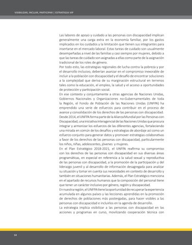UNFPA - Estrategia VIP 第 14 页