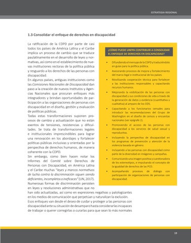 UNFPA - Estrategia VIP 第 19 页