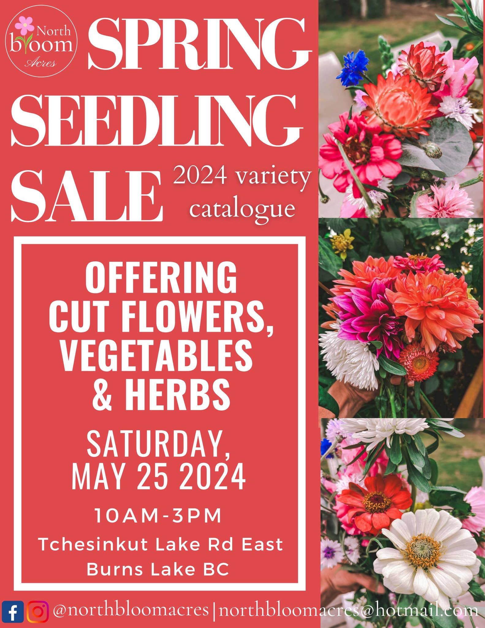 2024 Spring Seedling Sale Variety Catalogue by thelocalconnectornw Issuu
