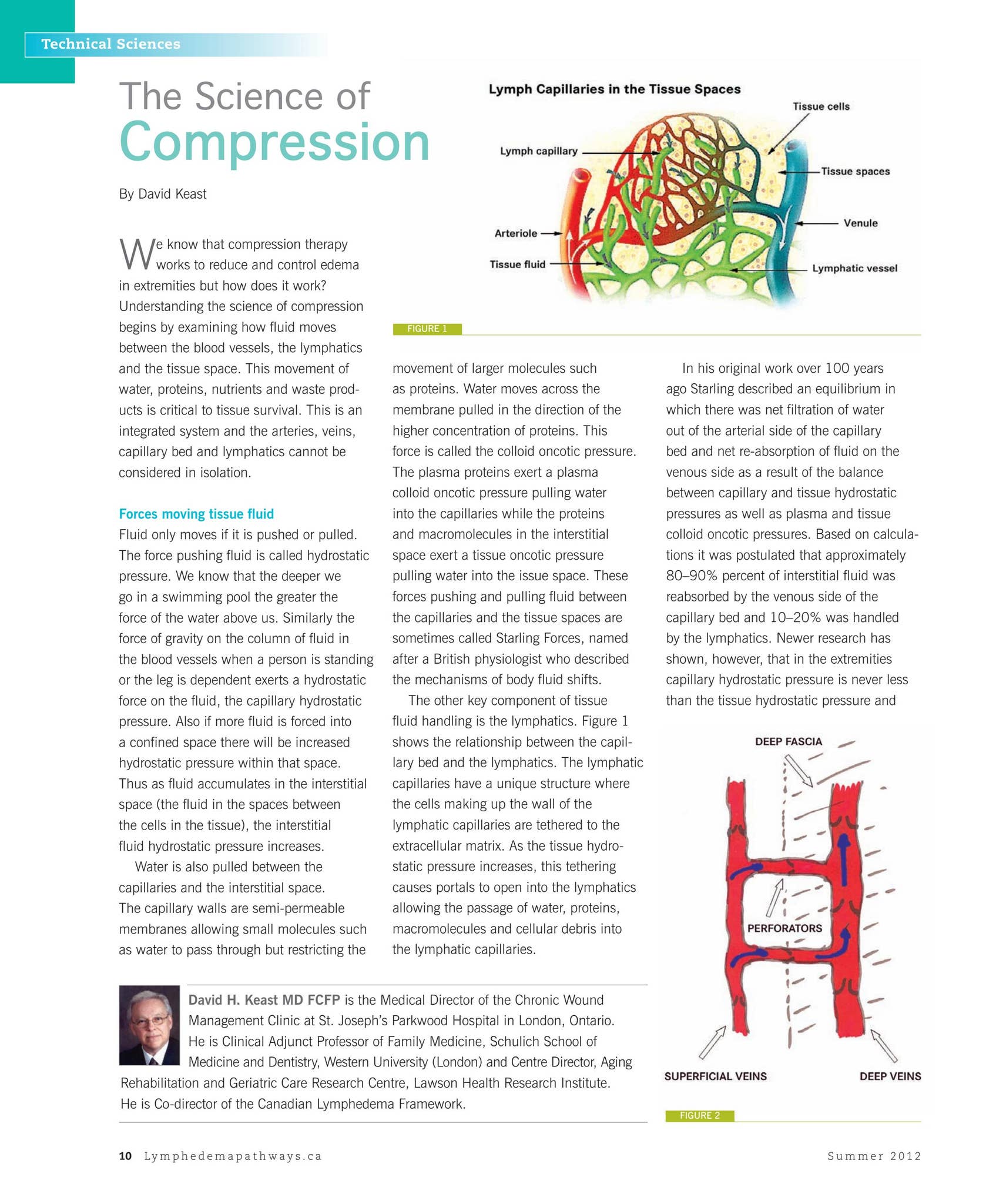 The Science of Compression by Canadian Lymphedema Framework - Issuu