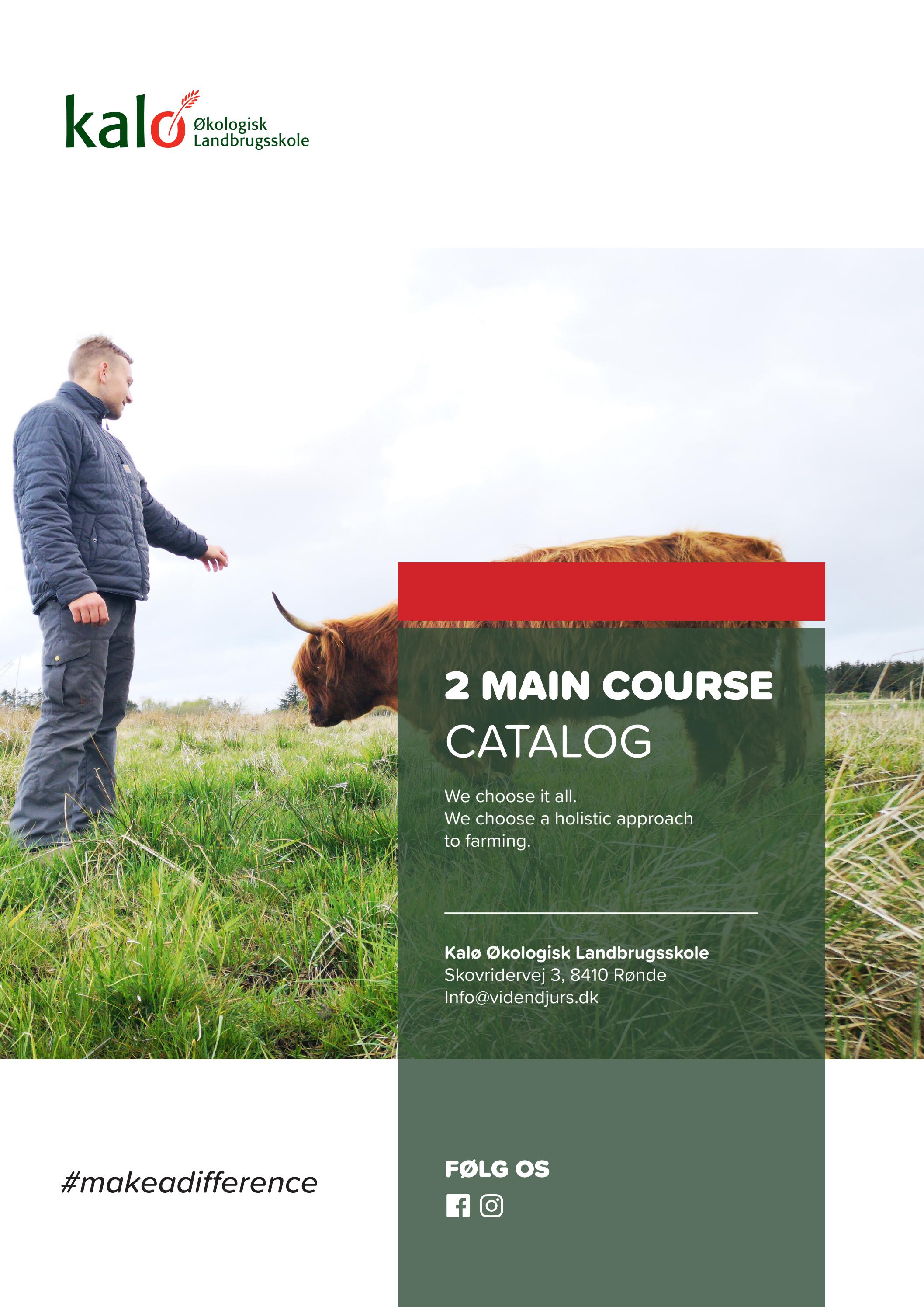Electives Catalog 2. MAIN COURSE by videndjurs2022 Issuu