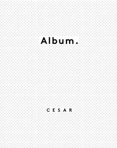 Album. 第 3 页