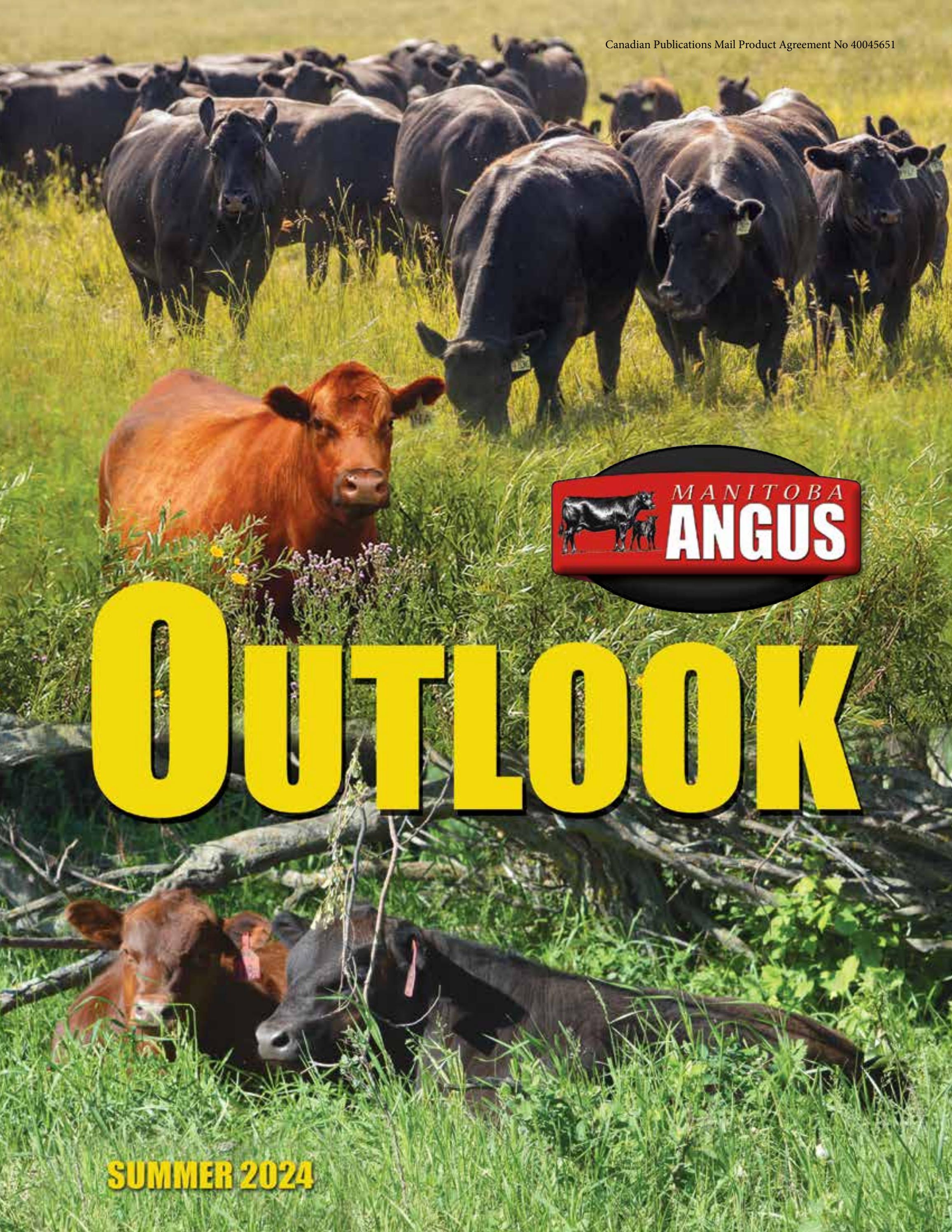 Manitoba Angus Outlook Summer 2024 by Canadian Angus Association Issuu
