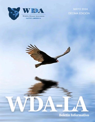 ESP- WDA LA Newsletter