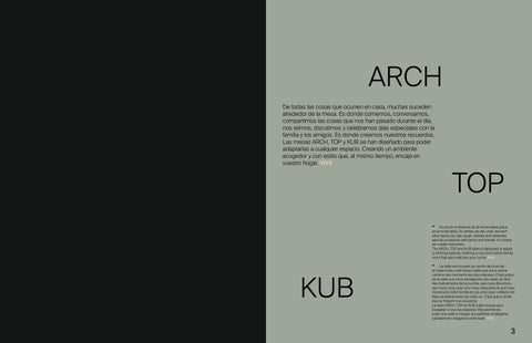 TABLES- ARCH TOP × KUB 第 2 页