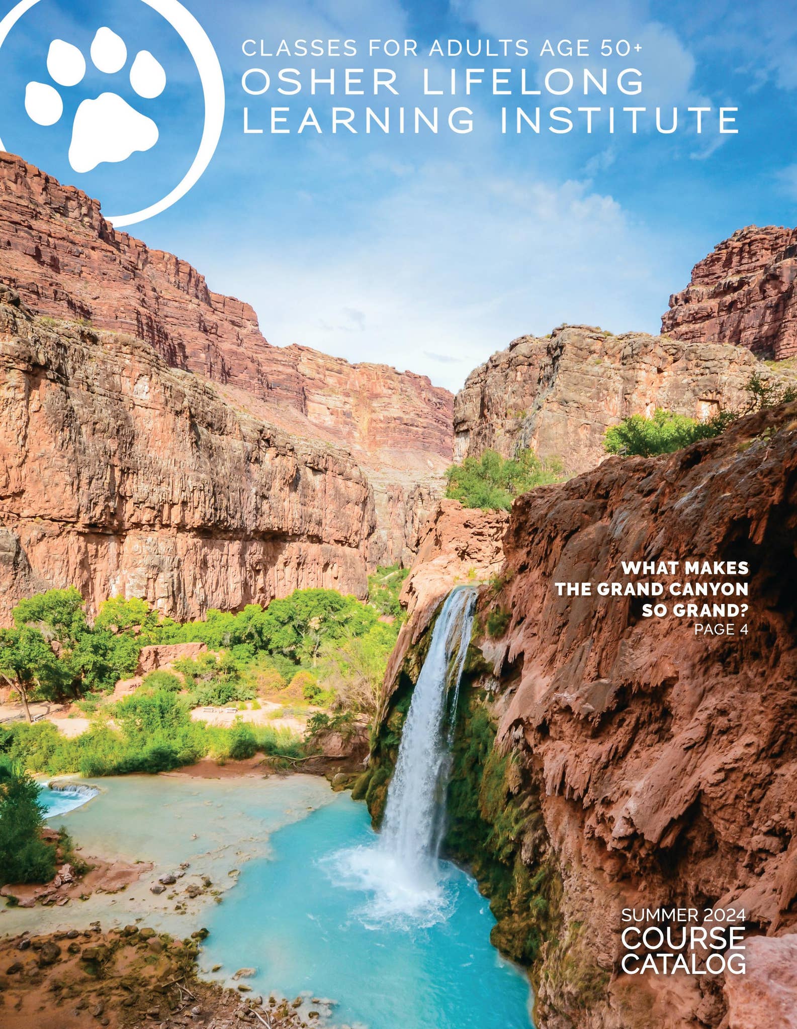 CSUSM 2024 Summer Osher Catalog by elcsusm Issuu
