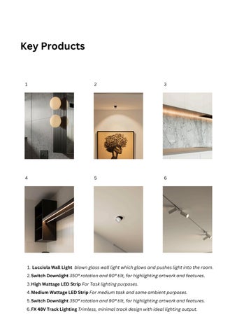 lightingoptions 灯饰目录 · 灯饰 Options Design + Supply 第 23 页