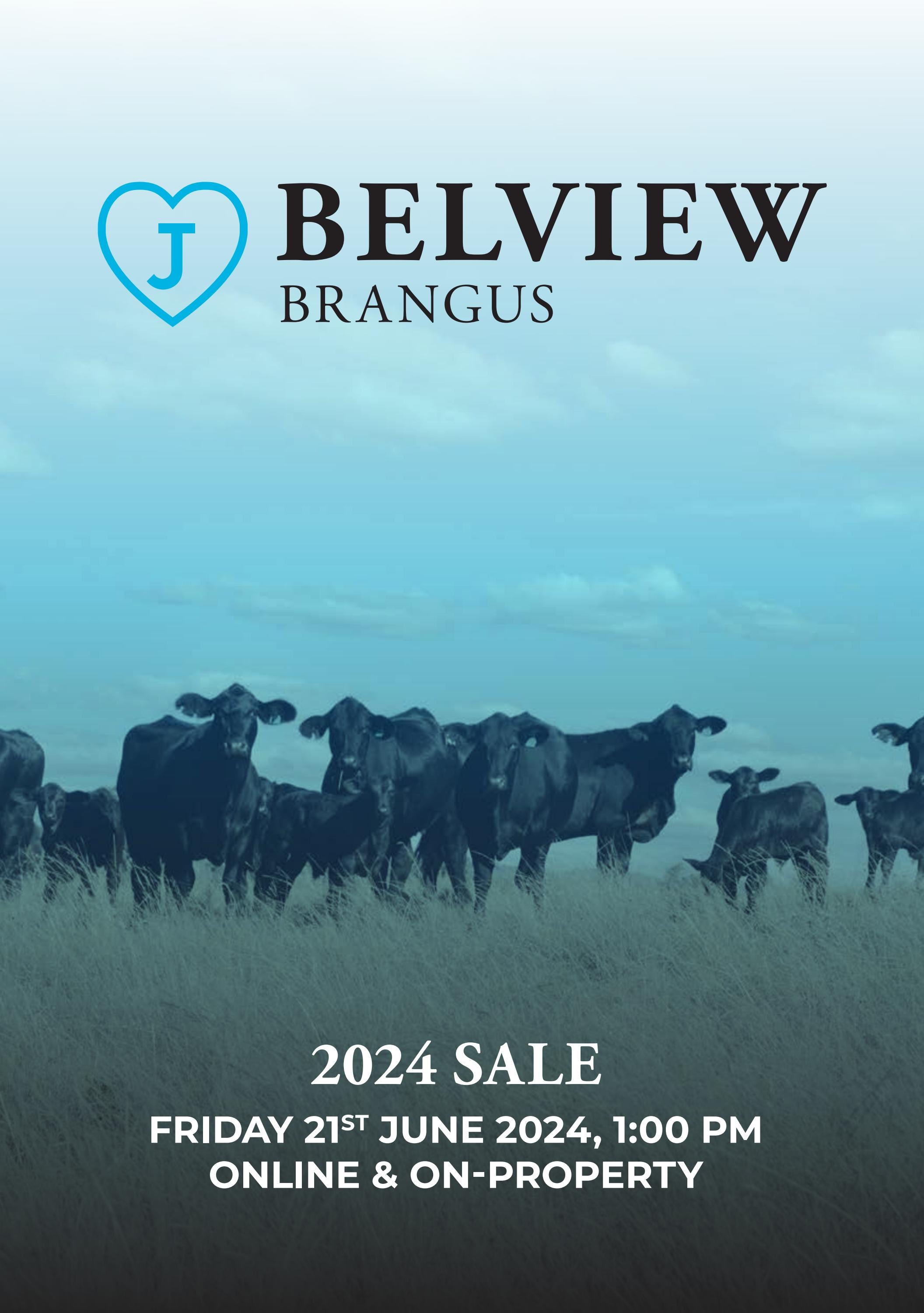 2024 Belview Brangus Sale by belview - Issuu
