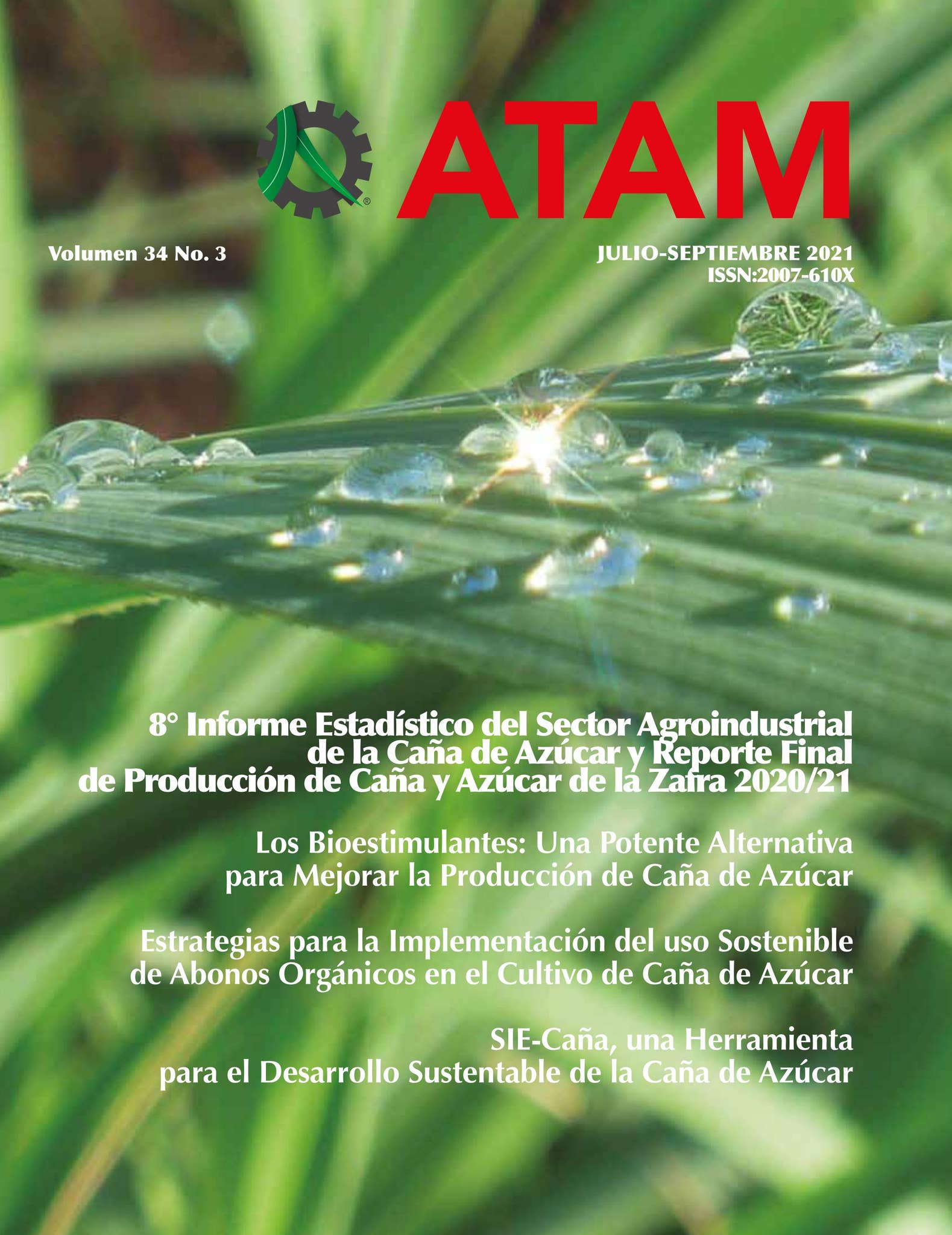 Revista ATAM Vol. 34 No. 3 by ATAM - Issuu