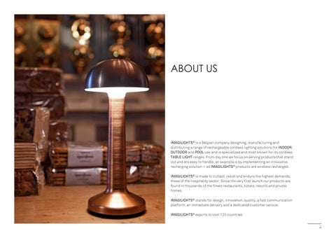 M.S.G. TRADELINK LTD 灯饰目录 · Imagilights 桌 Lamps 2024 第 4 页