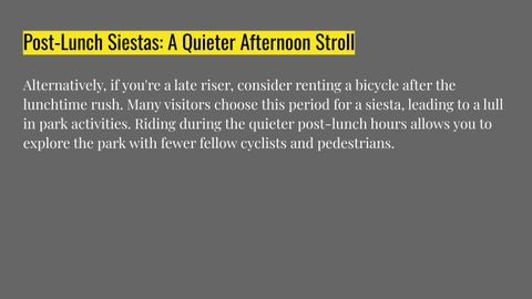 Coastline Leisure - Best East Coast Bike Rental Times for Tranquil Rides 第 11 页