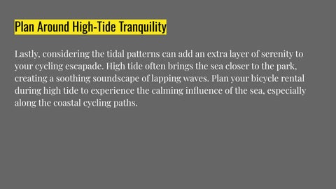 Coastline Leisure - Best East Coast Bike Rental Times for Tranquil Rides 第 12 页