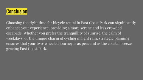 Coastline Leisure - Best East Coast Bike Rental Times for Tranquil Rides 第 13 页