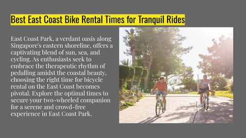 Coastline Leisure - Best East Coast Bike Rental Times for Tranquil Rides 第 2 页