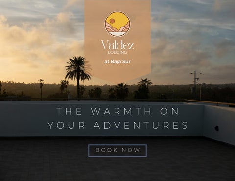 Casa Valdez Lodging at Todos Santos