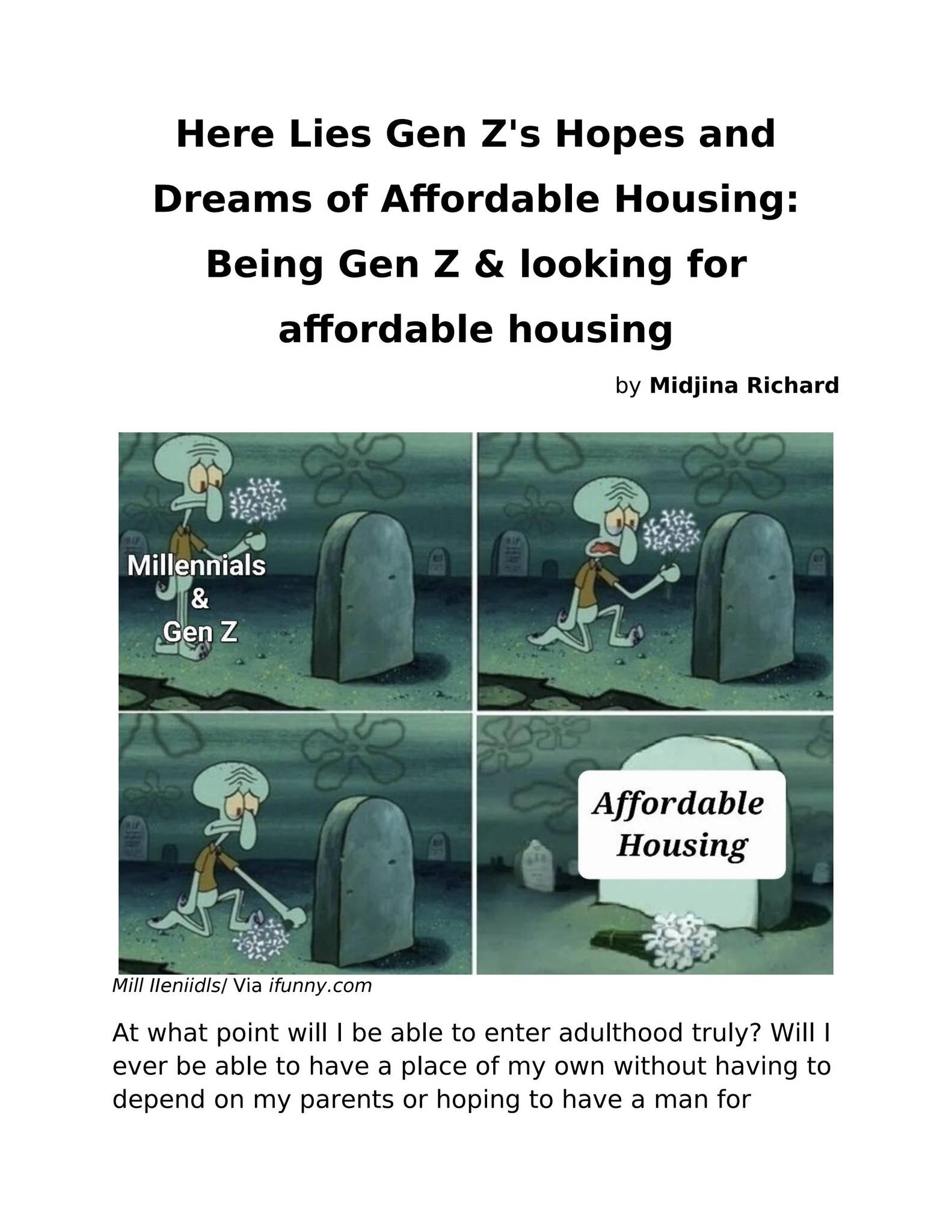 meme GenZ Affordable Housing by Wendy Biddle - Issuu