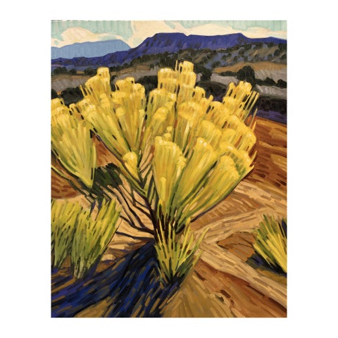 Brad Price: A Brush with Nature 第 19 页