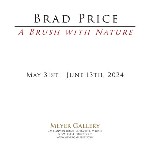 Brad Price: A Brush with Nature 第 3 页