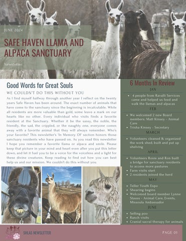 SafeHavenNewsletter2024