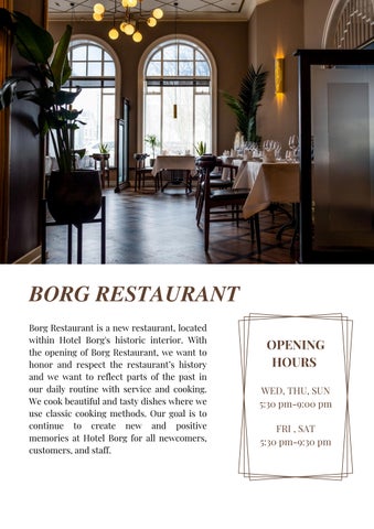 酒店 Borg 灯饰手册 第 3 页