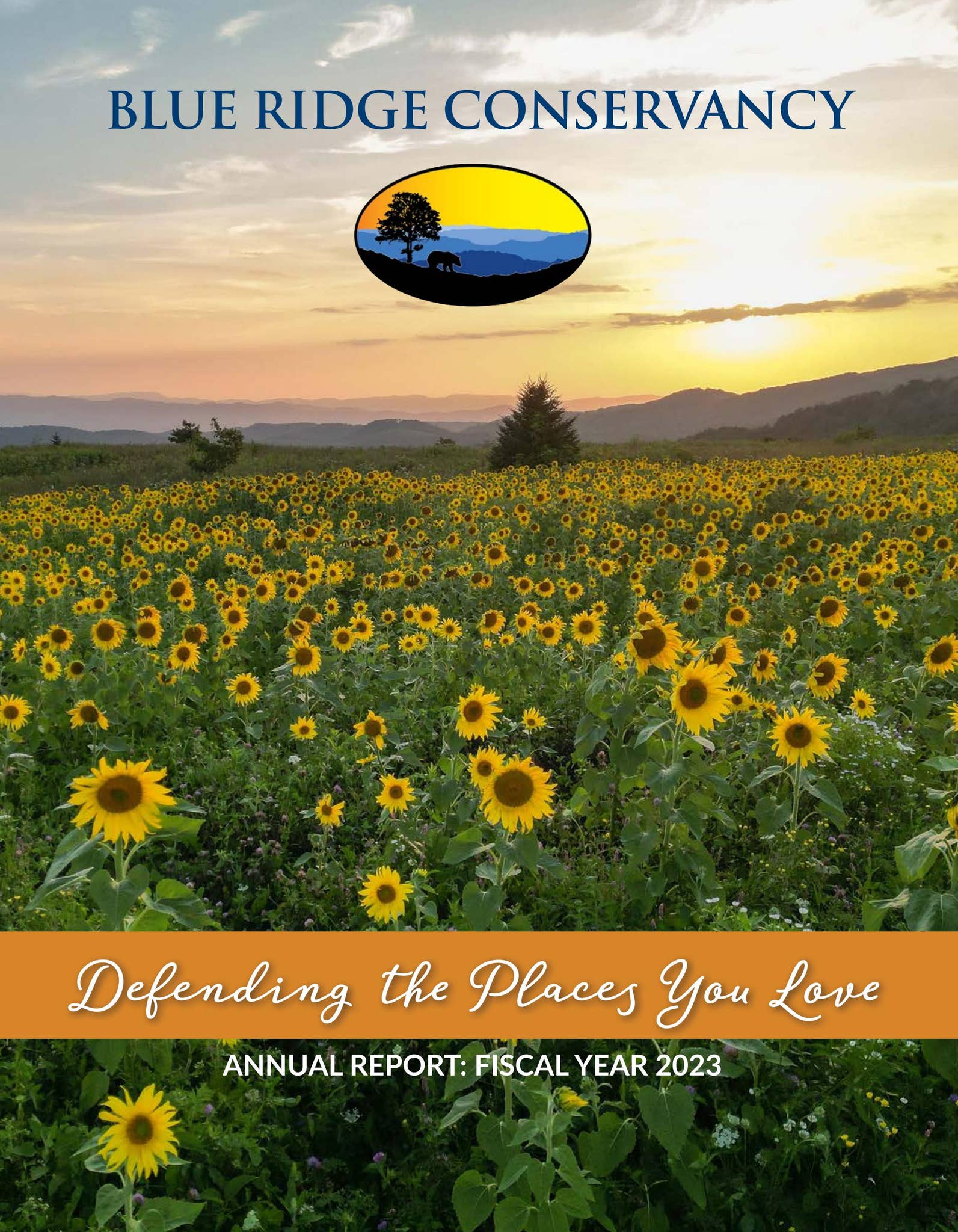 Blue Ridge Conservancy - 2023 Annual Report by Leila Jackson - Issuu