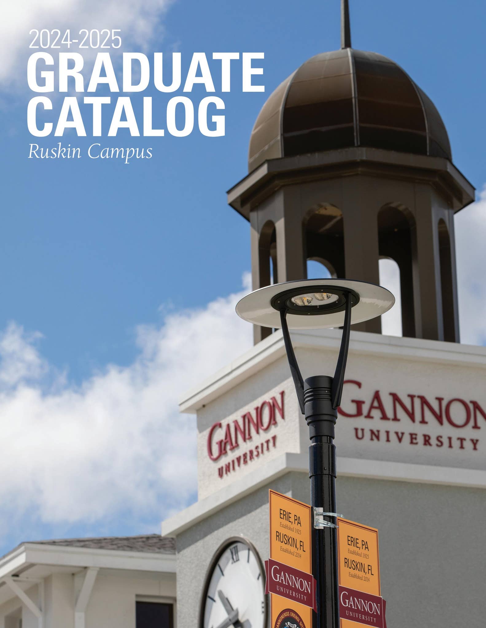 Gannon University Ruskin Catalog 20242025 by Gannon University Issuu