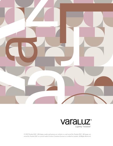 June 2024 Varaluz Supplement 第 2 页